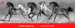 Horse-energy.nl (1).png
